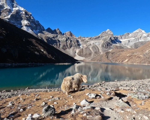 Short Gokyo Lake Trek Gallery ()