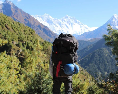 Untitled Design T. ()