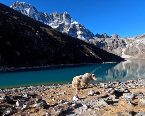 Yak Lake Gallery